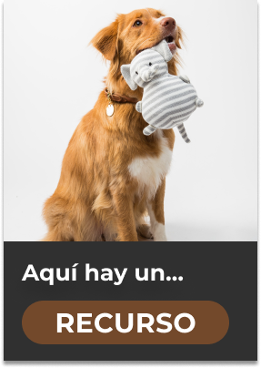 recurso